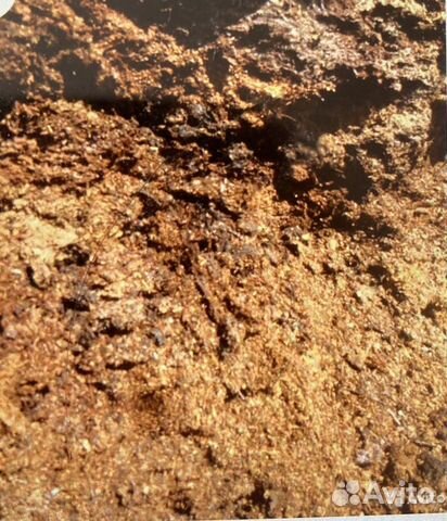 Конский навоз