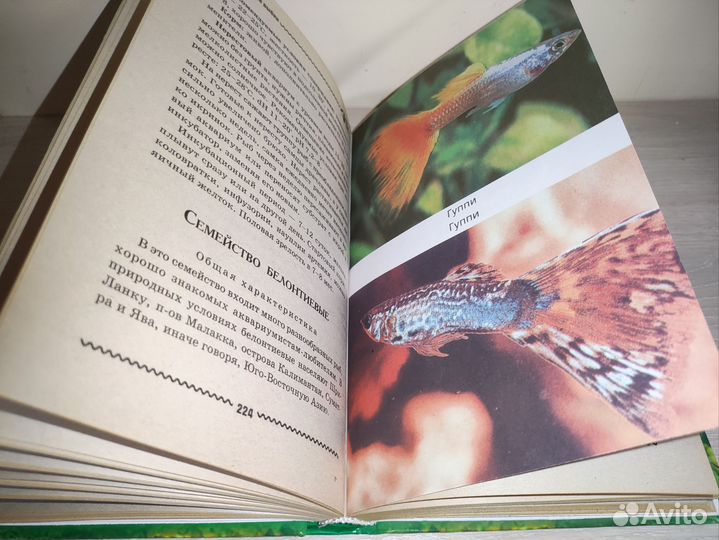 Книга Аквариумные рыбки