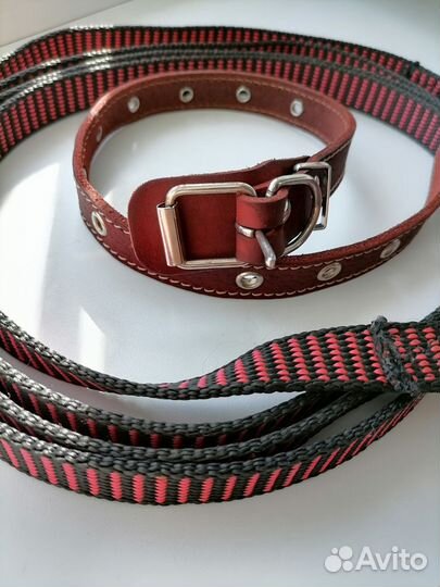 Ошейник и поводок