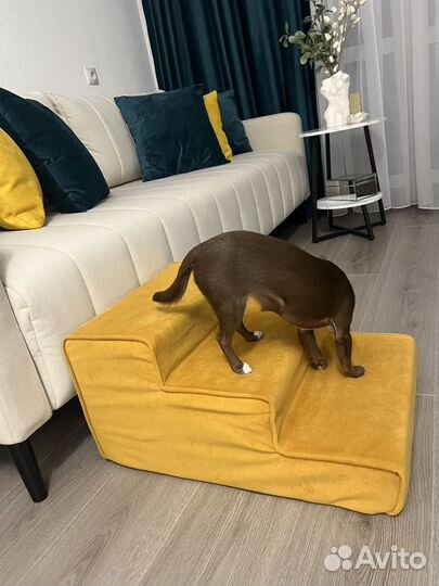 Лестница для собак