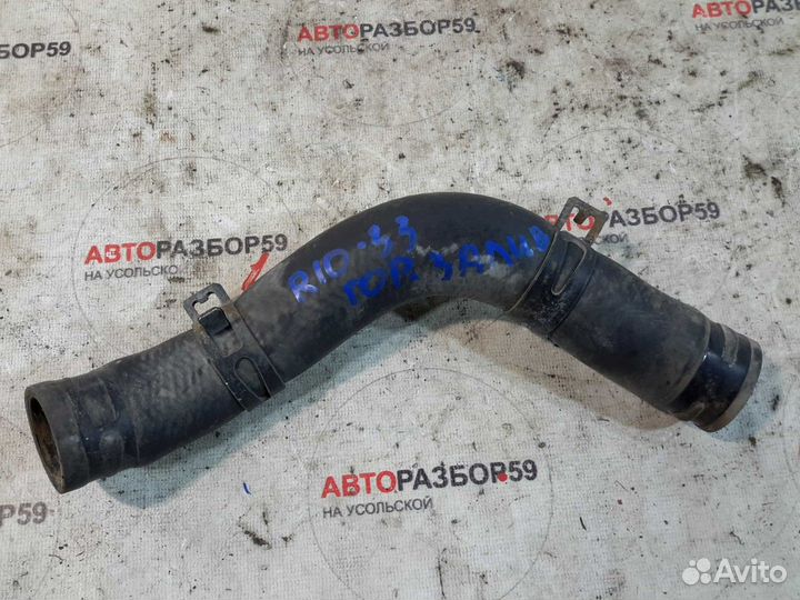 Патрубок радиатора KIA RIO 3 QB