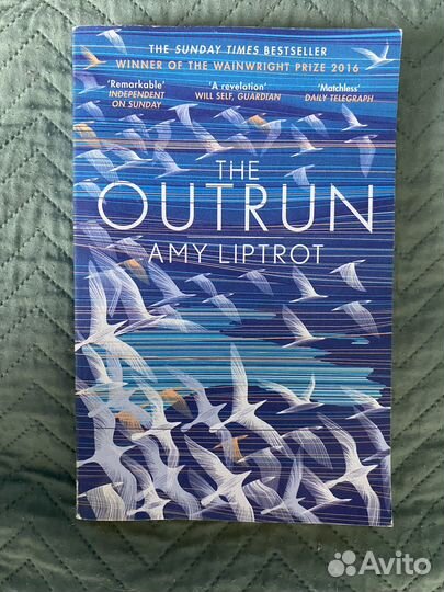 Книги на английском языке Эми Липтрот, М. Нельсон