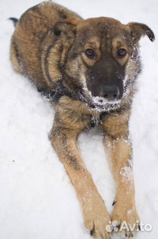 Нюша хочет домой