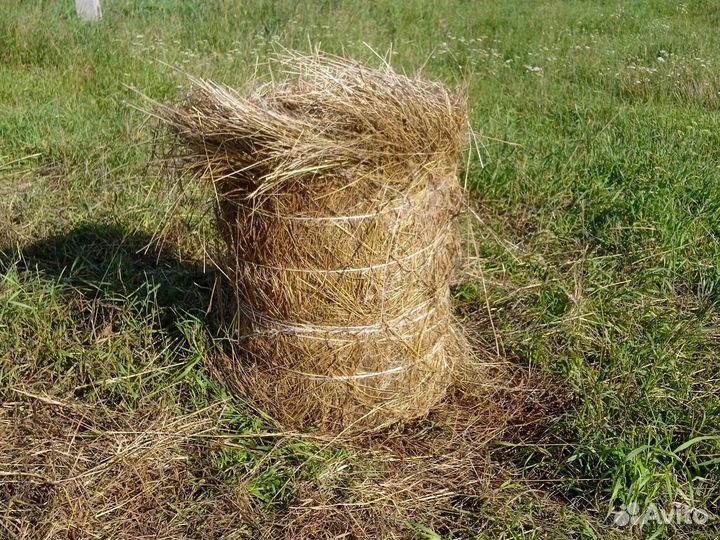 Продам сено в рулонах