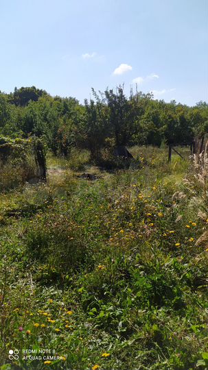 Дом 40 м² на участке 20 сот.