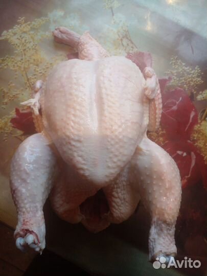 Тушка бройлера