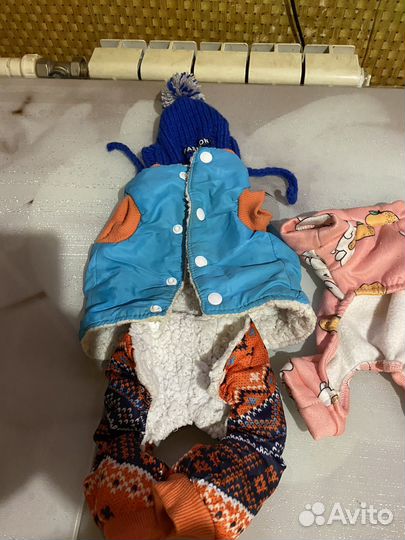 Одежда для маленьких собак