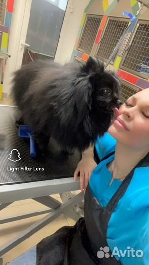 Груминг-салон 