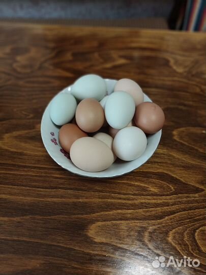 Козье молоко и молочные продукты