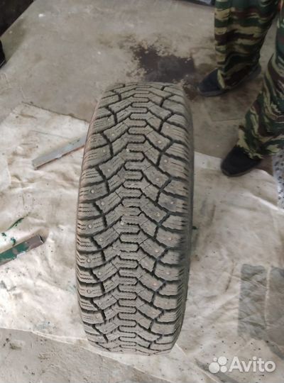 Cordiant Polar 195/65 R15