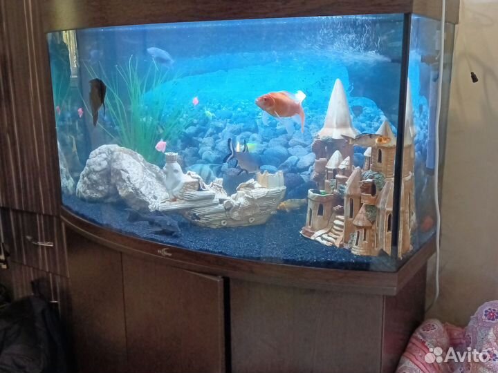 Аквариум 200 литров