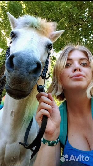 Зооняня, Передержка животных