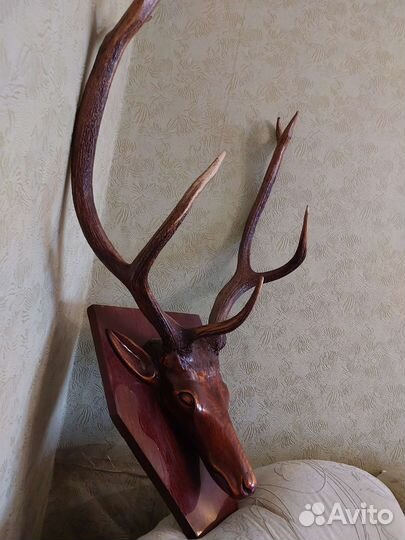 Голова Огромная Оленя Дерево сОригинальными Рогами