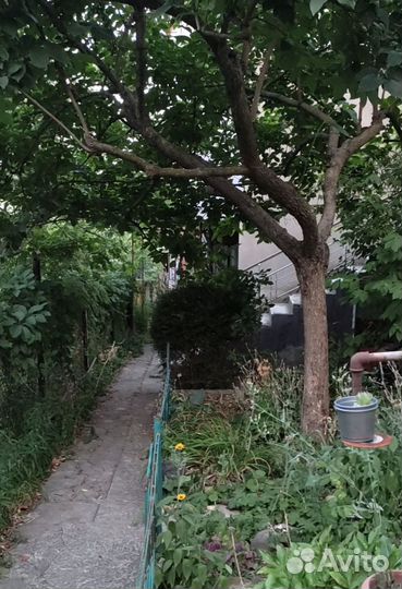 Сдам в аренду жильё