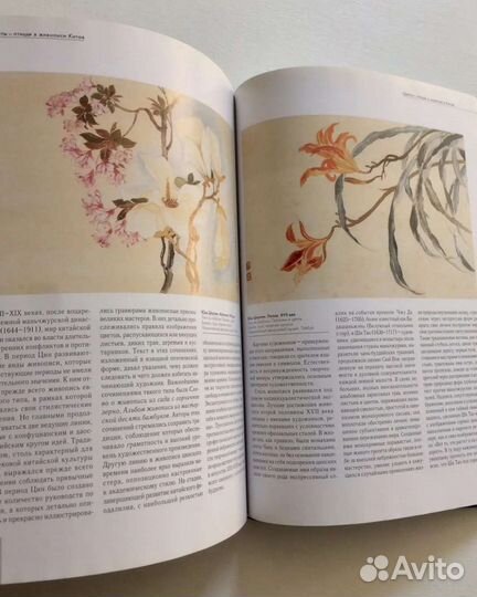 Альбомы по искусству Цветы птицы в живописи Китая