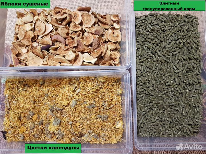 Корм для шиншилл