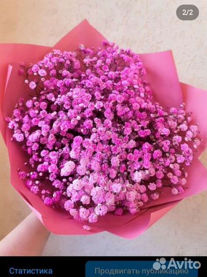 Гипсофила Букеты Цветы