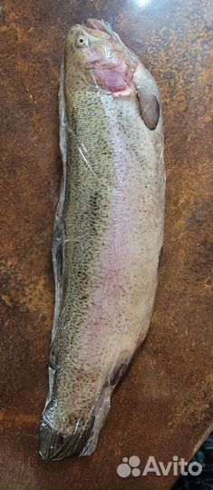 Форель свежемороженая. Свежая форель