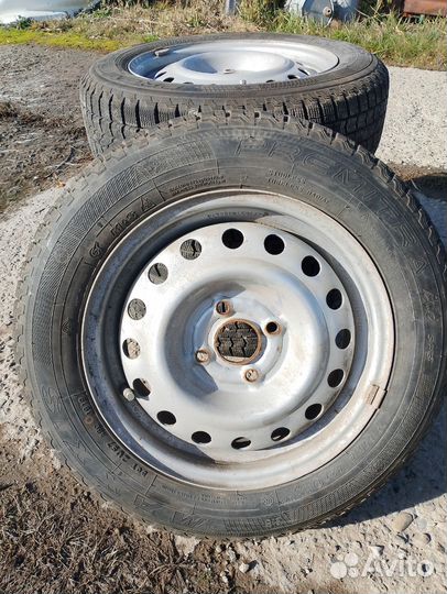 Maxxis SP3 Premitra Ice 175/65 R14