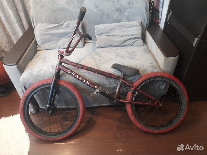 BMX Grasshopper