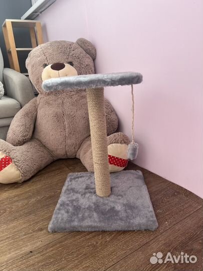 Когтеточка для кошек новая