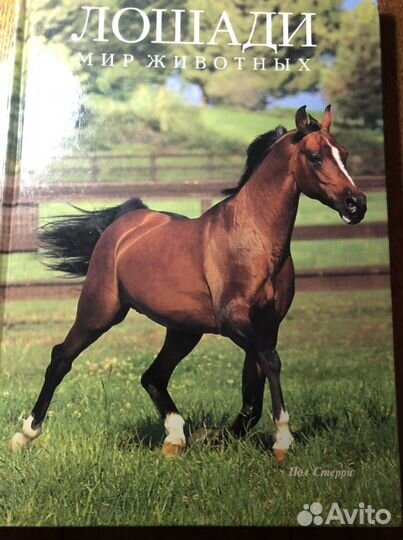 Книга, Лошади. Мир животных, Пол Стерри