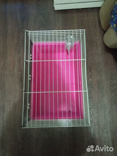 Клетка для морской свинки бу