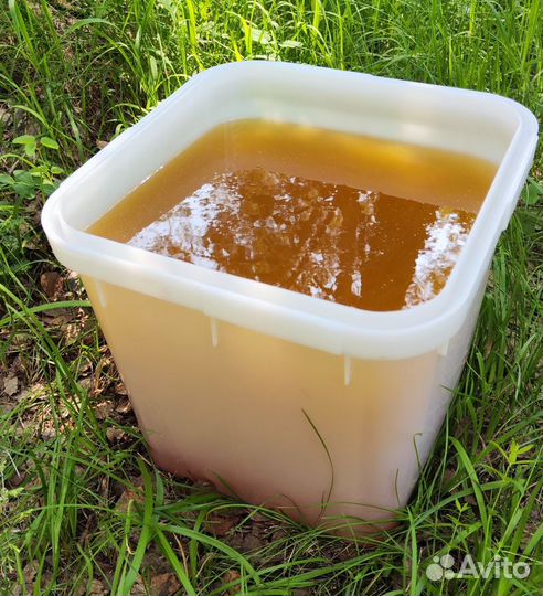 Оптом мед натуральный Алтайский min 16kg