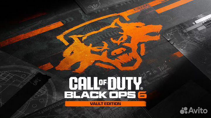 Call of Duty: Black Ops 6 - Vault Edition Ps4/5