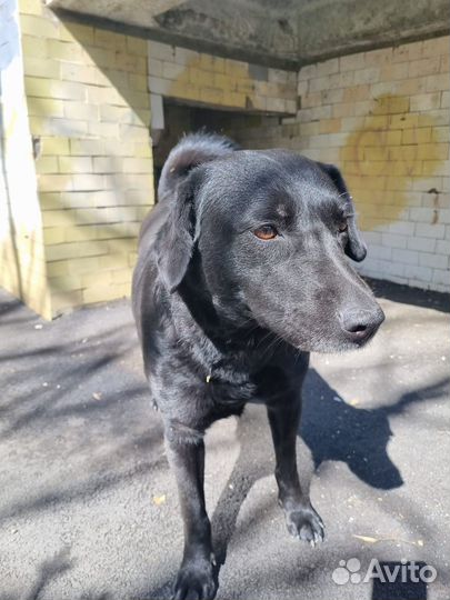 Меня оставили на улице