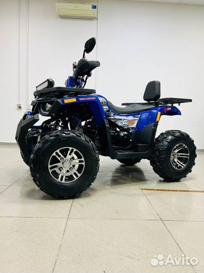 Квадроцикл Avantis Hunter 200 New Premium Наличие