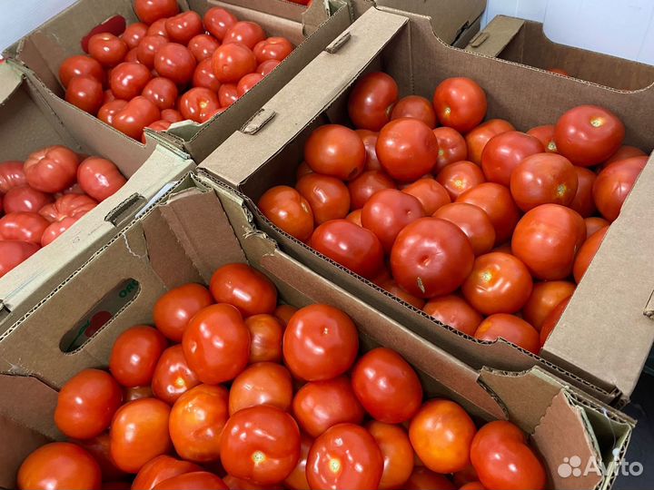 Овощи и фрукты