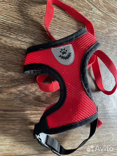 Товары для кошек(корма, наполнитель и расческа )