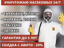 нижний предоставить. пространственное поведение человека. нижний предоставить. канавинская улица,д. проксемика изучает пространственное поведение человека и животных.