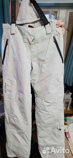 Брюки горнолыжные Salomon