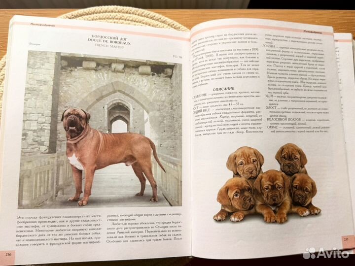 Энциклопедия Собаки мира 2001 первое издание