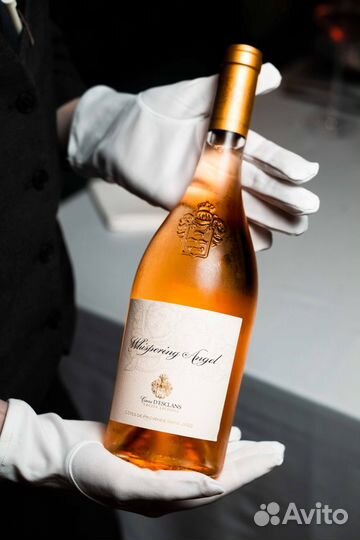 Фуд фотограф