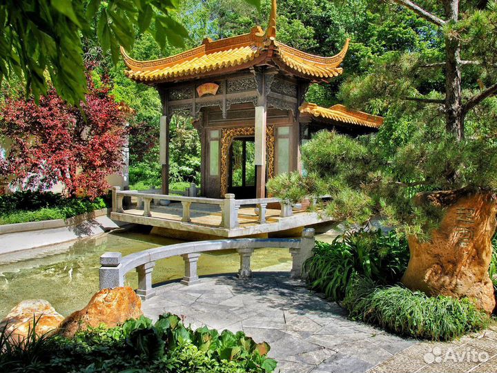 Турпоездка в Китай 6 дн