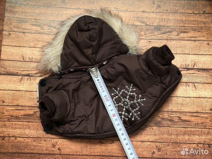 Одежда для собак, чихуахуа