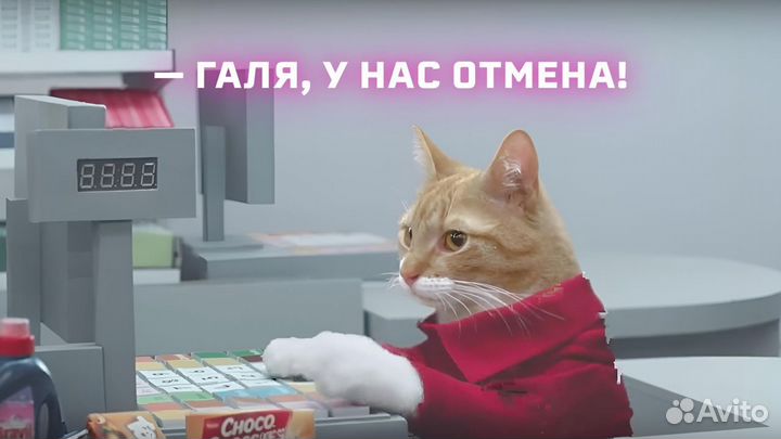 Пикать товары на кассе. Кассир можно без опыта