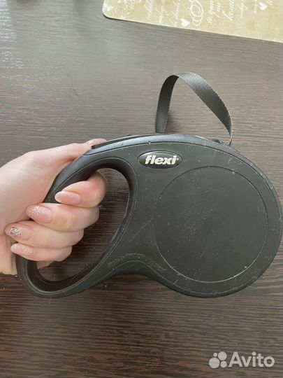 Амуниция для собак