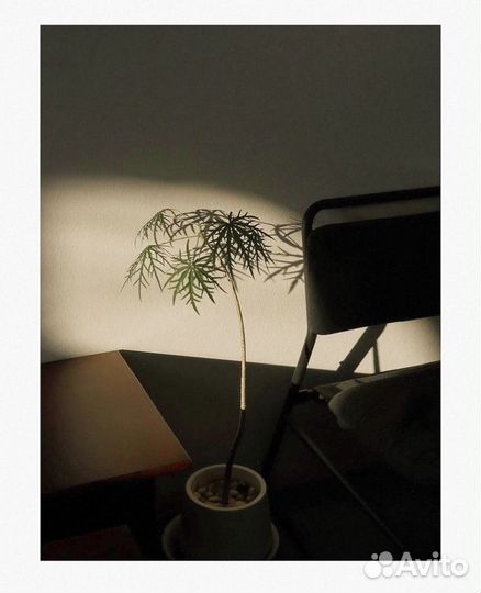 Компактный фотоаппарат nikon coolpix l28