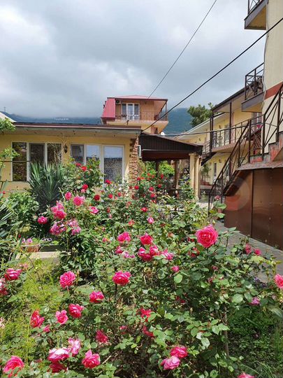 Комната 21 м², 2/3 эт.