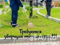 Уборщик территории, дворник