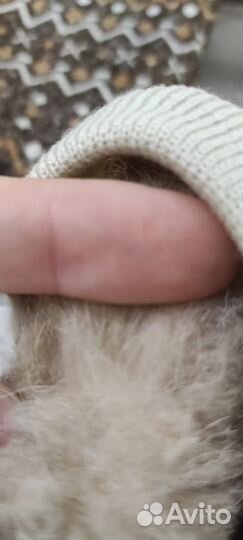 Носки меховые эластичные новые, размер 41-45