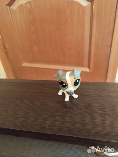 Littlest Pet Shop
