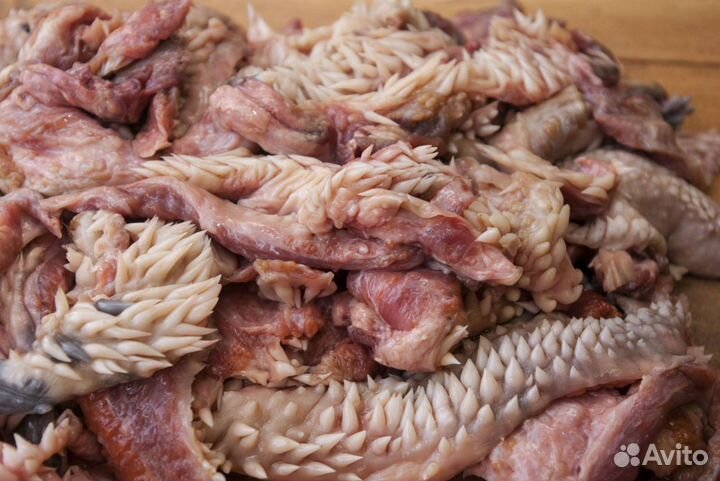 Корм для собак