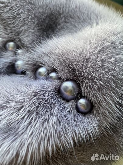 Берет женский норковый