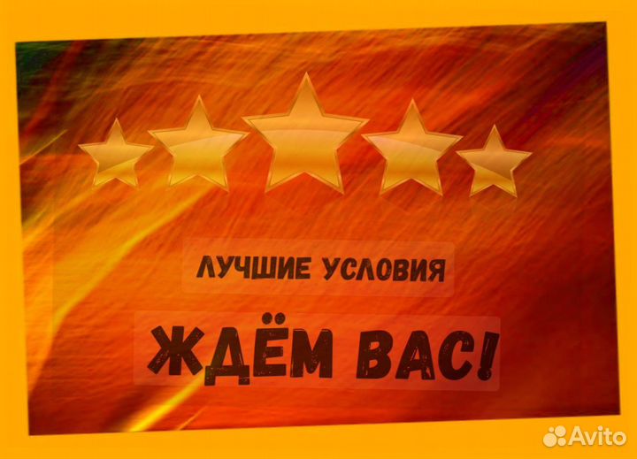 Сортировщик Еженедельный аванс Спецодежда М/Ж