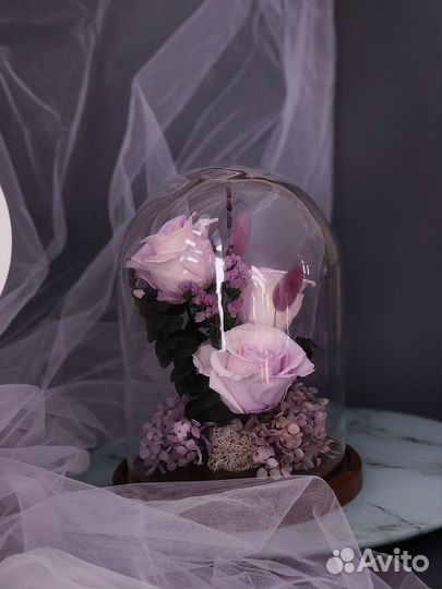 Стабилизированные цветы и сухоцветы